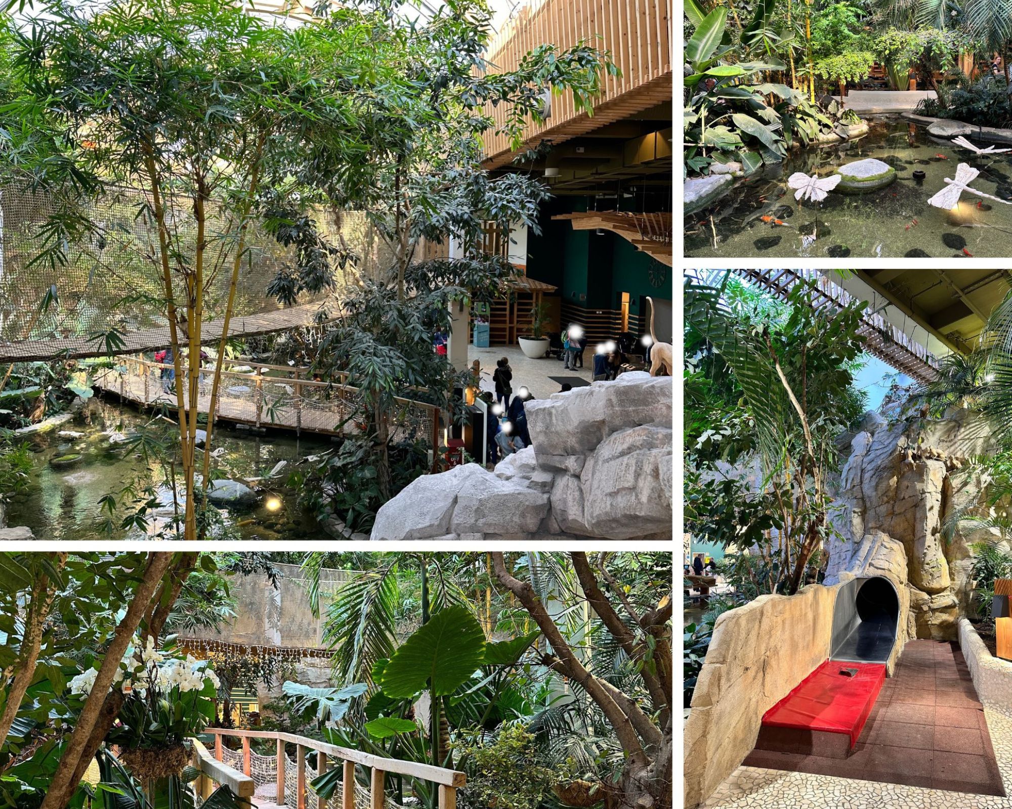 Center Parcs Park Allgäu