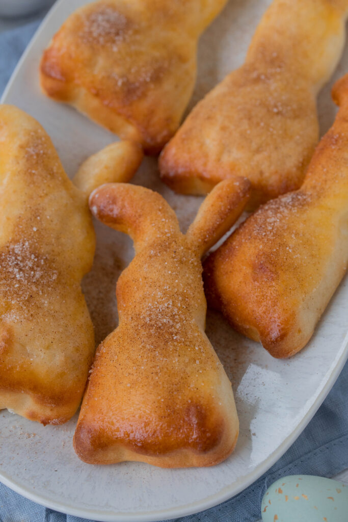 Quarkhasen Quarkhasen